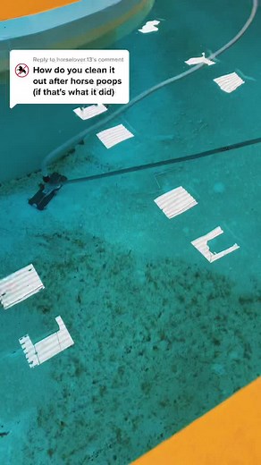 Effective Pool Cleaning Techniques Explained