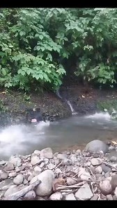 35K views · 134 reactions | Another reason why you should avoid bathing in rivers .He is lucky to be alive . | Derrick Mbugua | Facebook