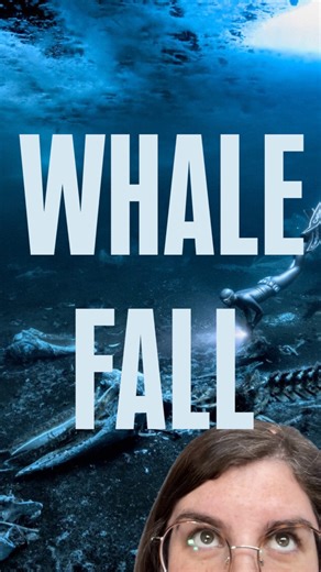DAY 15 🐋 #spookylakemonth #spookylakes | Geo Rutherford