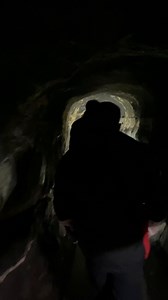 Have you been to the Aillwee Caves? We couldn’t get over the history of the cave itself and the story behind how it was discovered, definitely a must do. 📛 @aillwee_burren | Lovin.ie