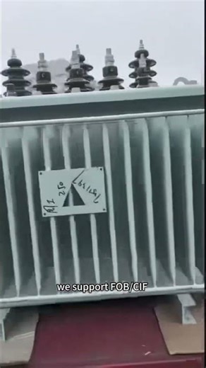 Inside a Professional Transformer Factory in China | Oil-immersed & Dry-type Transformers