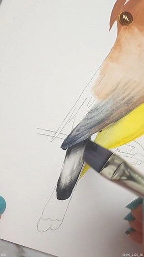 Hypnotizing Bird Painting With Realistic Details #birds #paintingbirds #birdpainting #acrylicpainting | Colors N Shades-The magical Rendering