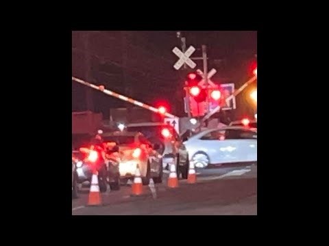 Roblox Ro scale train simulator driving Metra 1296 full ride