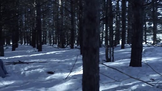 Wrong Turn 4 Bloody Beginnings.720.bdrip.subesp.gnula