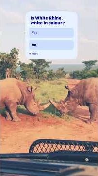 The ecosystem master #blackrhino #whiterhino #wildliferescue #rhinohorn #rhinoafrica #babyrhino