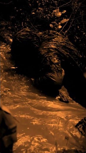 Exploring military psychology