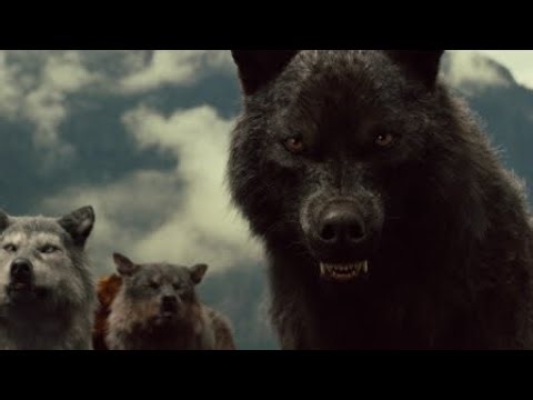 Twilight Wolves music [My Demons]