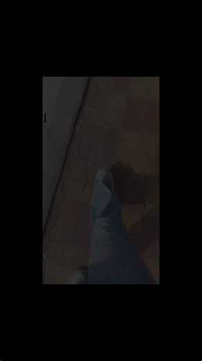 GRV on Instagram: "Ferdinand de Saussure (The father of linguistics) and Julia Kristeva (The queen of intertextuality). "S I G N I F I E R without a S I G N I F I E D" The Meaning: In linguistics (Saussure), the Signifier is the image/sound (your walking body), and the Signified is the concept (the meaning). If your life were a book, what would the title be? Share it in the comments! #saussure #linguistics #semiotics #literature #students"