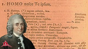 Carl Linnaeus, a Swedish botanist, zoologist, and taxonomist who is considered to be the forefather or scientific racism. In the first lecture of our Science and Race series on Thursday, we’ll be touching on “Systema Nature” which is essentially his 1735 database for categorising the human and natural world that became the basis of the racial classification system we have today. If you haven’t registered as a member to attend the series, we have a few limited spaces for anyone who wants to enjoy