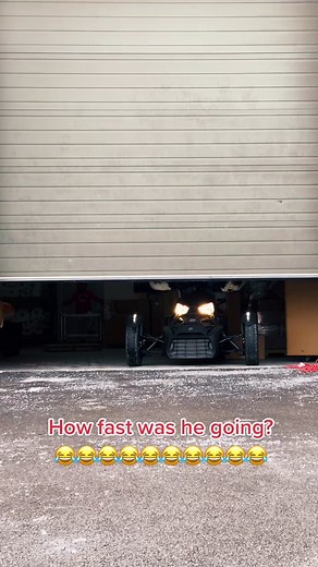 Princess Paige Josie Coyote Sloth Compilation