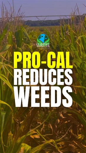23K views · 72 reactions | Pro-Cal Liquid calcium has a 3-4 year soil life, making it great for balancing pH, helping calcium saturation, and reducing weeds! Visit agritecint.com/procal or call 833-247-4832 to learn more #calcium #liquid #weeds #farming #plants #nature #science | AgriTec International Inc. | Facebook