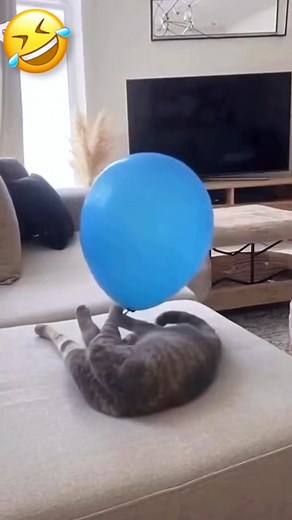 1.7M views · 42K reactions | We stands as Dubai's most trustable real estate Company, offering premium homes, 1% payment plans, and opportunities that secure your future." | Zam Zam Electronics | Facebook