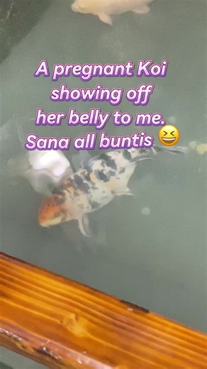 madonnavaldez0 on TikTok