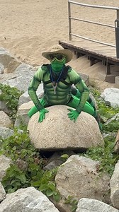 2.6M views · 10K reactions | Este sol está bueno pa agarrar un poco de color年藍 @seguidores | La Iguana Voladora | Facebook