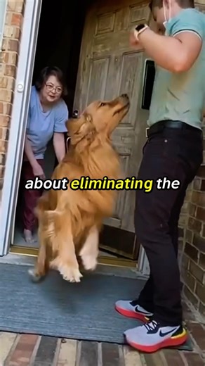 How to Grow Your 𝗦𝗠𝗔𝗟𝗟 𝗕𝗨𝗦𝗜𝗡𝗘𝗦𝗦 💰 #viral #smallbusiness