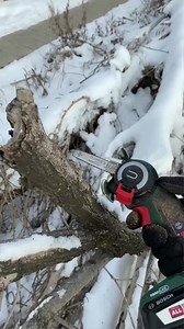 ⚡️BOSCH EasyCut in action #tools #powertools #gardentools #saw #пила #construction #bosch #repair #tip #tips #lifehack #lifehack #stye #reels #shorts #wood #woodworking #handmade #design #art #woodwork #carpenter #woodart #interiordesign #homedecor #furniture #home #diy #decor #carpentry | Tool_Tips