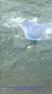 Casting Net Fishing: Massive Haul Bursts the Fishing Net