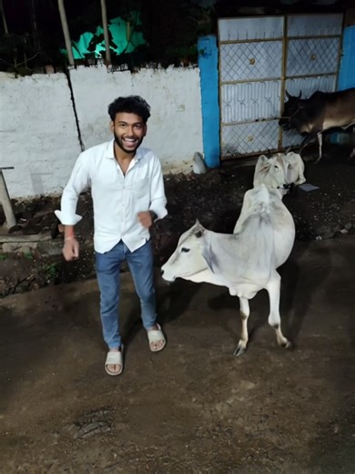 #short #desi #telent #bundeli | Dsp Mokalpur