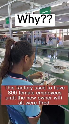 Insights into Factory Work and Job Roles for Employees