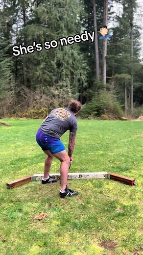 Highland Fold Cat Being Needy During Practice Session