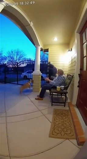 Tiny Dog Attacks Robber Climbing Over Gate