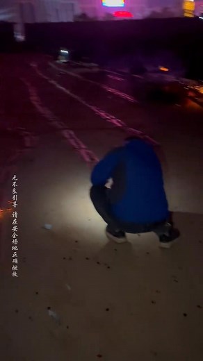 Such beautiful jellyfish fireworks—I just want to share them with you. #Fireworks #JellyfishFireworks #Romantic | Radiant Fireworks