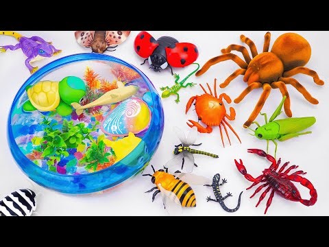 🦈Toy ASMR🦈RC Tarantula Spdier & RC Crab & RC LadyBug & Lizard ASMR Satisfying with Unboxing
