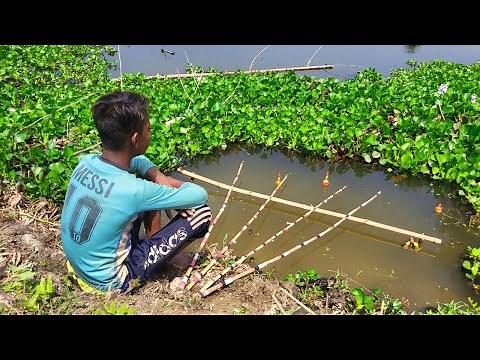 Traditional Boy Hunting Big Fish By Hook In Pound | Best Hook Fishing Video