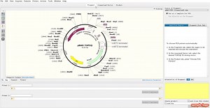 纯干货 Snapgene 无缝克隆案例实操(下）Infusion，NEBuilder， TOPO 克隆