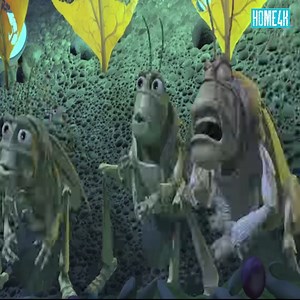 63K views · 145 reactions | Final fighting of Ant Vs Grasshopper | Black Wolf XXXII | Facebook