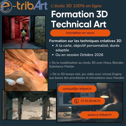 e tribArt Formation 3D Technical Art Session personnalisée sur l'année Objectif métier #3dmodeling