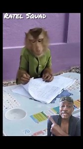 1.1K views | Monkey wey dey do assignment #facebookrealviral #goviran #animallover #gehgeh | Ratel Squad | Facebook