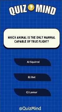 Ultimate Animal Quiz Challenge: Test Your Wildlife Knowledge with Fun Animal Facts #animalquiz #quiz