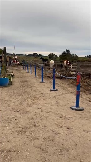 Turn sound up to hear the pop! ✨️ #jousting #orderoftheblackspur #training #knight #pop | JaydeMasterson