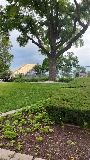 20K views · 230 reactions |  State Fair but make it ✨botanical✨ | Illinois State Fair | Facebook