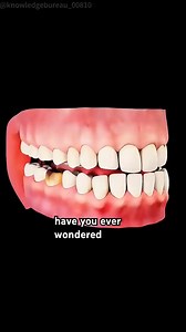 #medical #treatment #fypシ゚viralシfypシ゚viralシalシ #reels | Knowledge Bureau