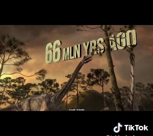 TEKINOLOGIYA UG on TikTok