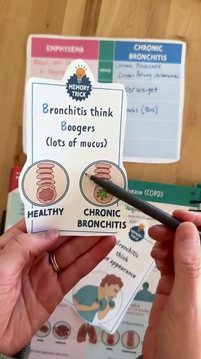 52K views · 381 reactions | EMPHYSEMA 贈Alveoli are damaged & enlarged 贈Weight loss 贈Barrel chest from air trapping 贈Shortness of breath CHRONIC BRONCHITIS 贈Chronic product cough & airway obstruction 贈Overweight 贈Cyanosis (blue) from hypoxemia 贈Chronic cough & wheezing What is the # 1 cause of COPD? #nursingschool #nurseinthemaking #studentnurse #BSN #Nursinglife #Nursegraduate #scrublife | Nurse In The Making | Facebook