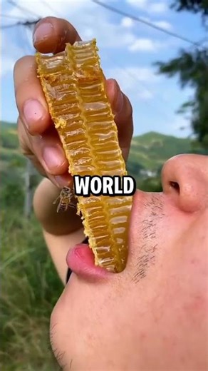 🥗 Healthy Food vs 🍔 Bad Food #food #good #bad #yummy #foodprep #nice #fyp