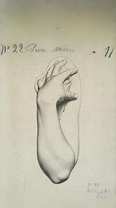 7.6K views · 21 reactions | Let's have a closer look into the...