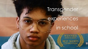 Transgender* experiences in schools