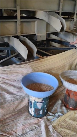 wheat 🌾 flour milling process