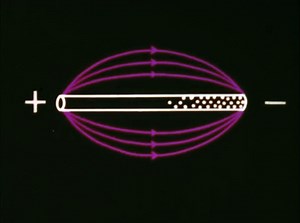 Antenna fundamentals: propagation.