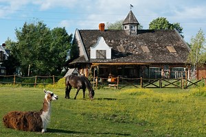 Farma sezon 2 - to tu mieszkają uczestnicy drugiej edycji reality show