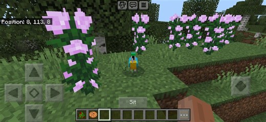 No Die Parrots Minecraft Mod