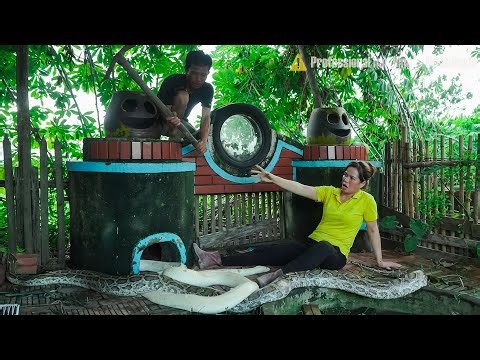 72 hours to catch two giant pythons on a farm - girl frantically seeks help.