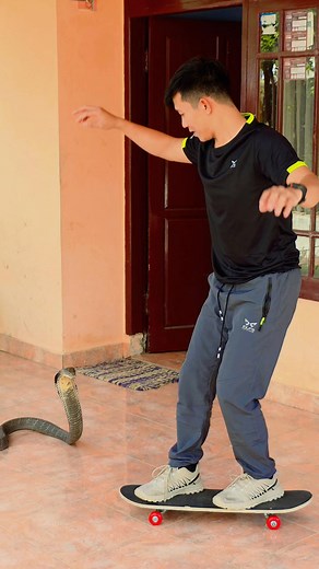 Olahraga dulu kawan ... #skateboard #snake #life #enjoy | Rafi Ahmad Maulvi