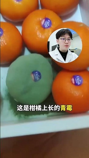 Uncover the 9 Hidden Types of Mold: Are You Safe? MoldAlert HealthRisk MoldAwareness