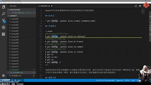 18★Git入门★使用别名 git config alias