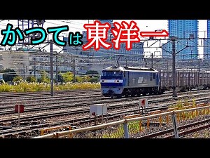 新鶴見信号場と貨物列車【かつては東洋一の操車場】Freight trains of Shin-Tsurumi Signal Station & Locomotive Depot